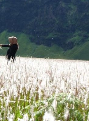 Ladang Troketon Klaten