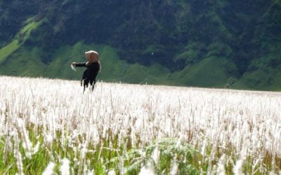 Ladang Troketon Klaten